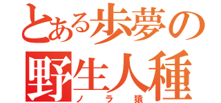 とある歩夢の野生人種（ノラ猿）