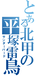 とある北甲の平塚雷鳥（サンダーバード）