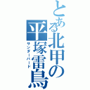 とある北甲の平塚雷鳥（サンダーバード）