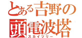 とある吉野の頭電波塔（スカイツリー）