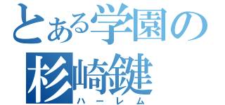 とある学園の杉崎鍵（ハーレム）