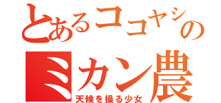 とあるココヤシ村のミカン農場のナミ（天候を操る少女）