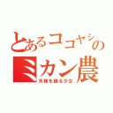 とあるココヤシ村のミカン農場のナミ（天候を操る少女）