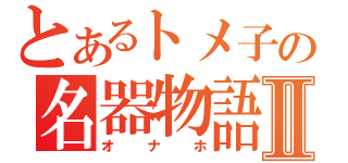 とあるトメ子の名器物語Ⅱ（オナホ）