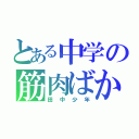 とある中学の筋肉ばか（田中少年）