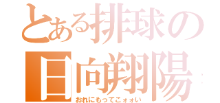 とある排球の日向翔陽（おれにもってこォォい）