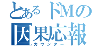 とあるドＭの因果応報（カウンター）