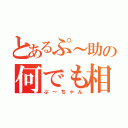 とあるぷ～助の何でも相談（ぷ～ちゃん）