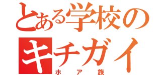 とある学校のキチガイ（ホア族）