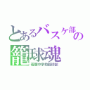 とあるバスケ部の籠球魂（若葉中学校籠球部）