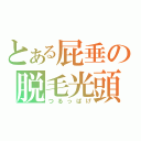 とある屁垂の脱毛光頭（つるっぱげ）