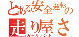 とある安全運転の走り屋さん（カールソン♪）