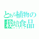 とある植物の栽培食品（チィタケエ）