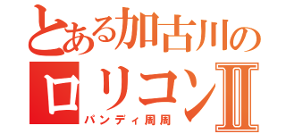 とある加古川のロリコンパンダⅡ（パンディ周周）