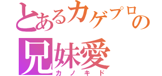 とあるカゲプロの兄妹愛（カノキド）