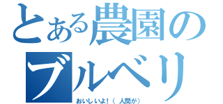 とある農園のブルベリ（おいしいよ！（人間が））