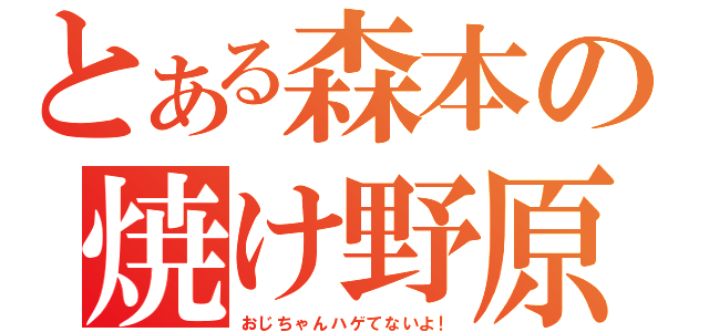 とある森本の焼け野原（おじちゃんハゲてないよ！）