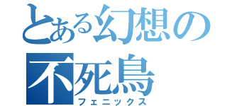 とある幻想の不死鳥（フェニックス）