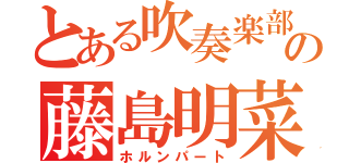 とある吹奏楽部の藤島明菜（ホルンパート）