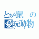 とある鼠の愛玩動物（もち）