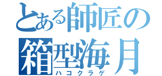 とある師匠の箱型海月（ハコクラゲ）