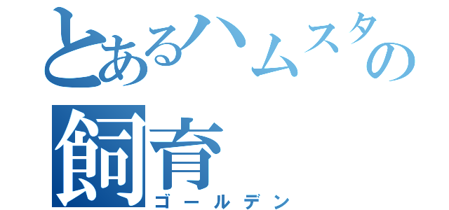 とあるハムスターの飼育（ゴールデン）