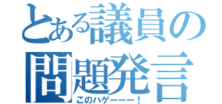 とある議員の問題発言（このハゲーーー！）