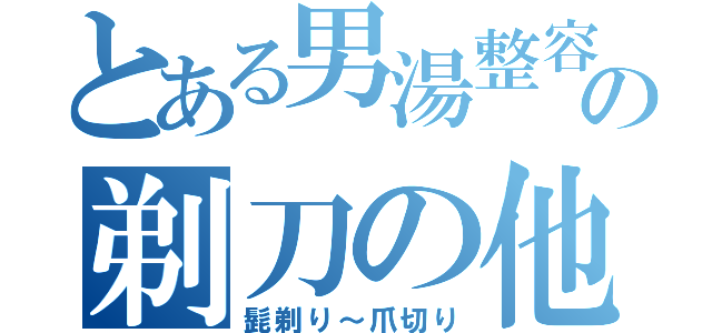 とある男湯整容の剃刀の他（髭剃り～爪切り）