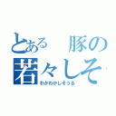 とある 豚の若々しそうる（わかわかしそうる）