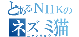 とあるＮＨＫのネズミ猫（ニャンちゅう）