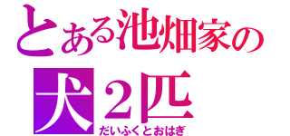 とある池畑家の犬２匹（だいふくとおはぎ）