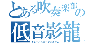 とある吹奏楽部の低音影龍（チューバ×ユーフォニアム）