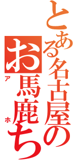 とある名古屋のお馬鹿ちゃん（アホ）