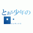 とある少年の伟荣（インデックス）