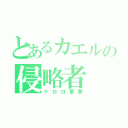 とあるカエルの侵略者（ケロロ軍曹）