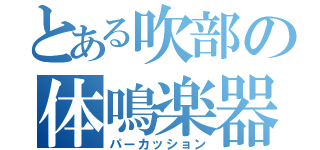 とある吹部の体鳴楽器（パーカッション）