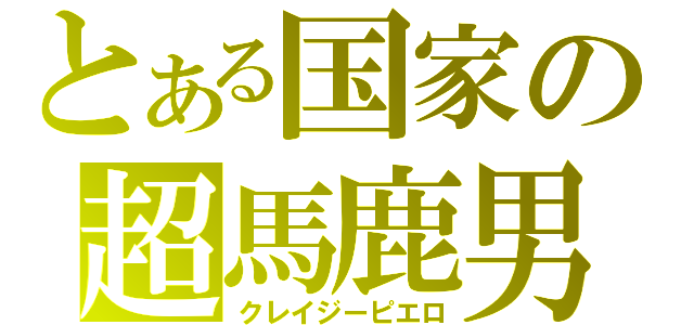 とある国家の超馬鹿男（クレイジーピエロ）