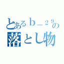 とあるｂ－２９の落とし物（）