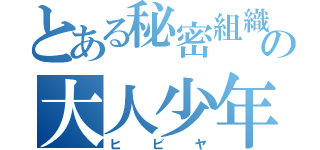 とある秘密組織の大人少年（ヒビヤ）