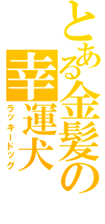 とある金髪の幸運犬（ラッキードッグ）