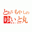 とあるもやしのゆいと丸（細長い雑魚）