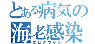 とある病気の海老感染（エビナウイル）