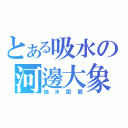 とある吸水の河邊大象（抽水圍觀）