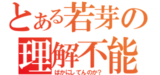 とある若芽の理解不能（ばかにしてんのか？）