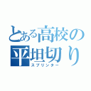 とある高校の平坦切り（スプリンター）