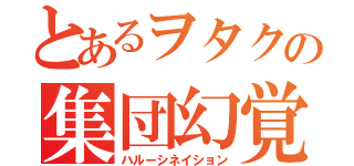 とあるヲタクの集団幻覚（ハルーシネイション）