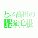 とある高橋の最強毛根（ヘアールート）