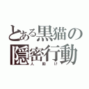 とある黒猫の隠密行動（人助け）