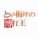 とある梅坪の博打王（）