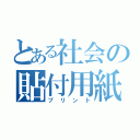 とある社会の貼付用紙（プリント）